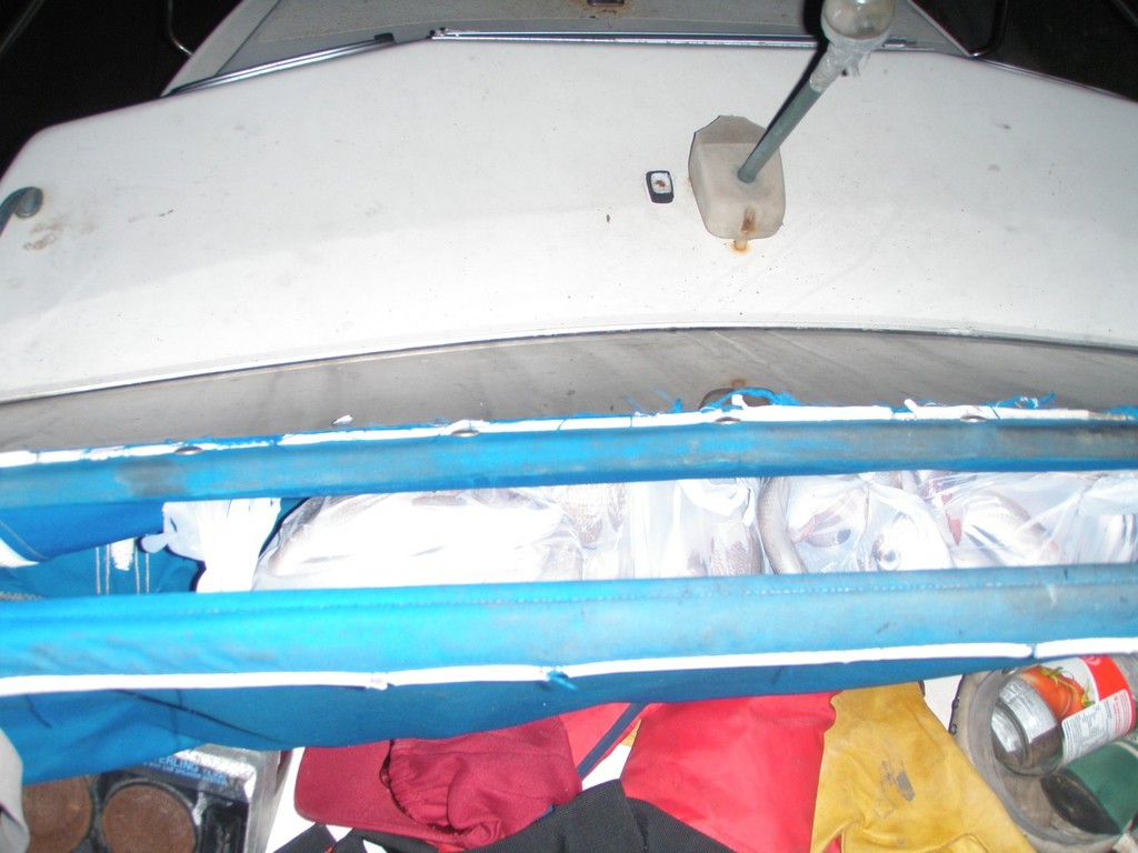 Illegal snapper hidden in boats &copy; Fisheries Victoria http://www.dpi.vic.gov.au